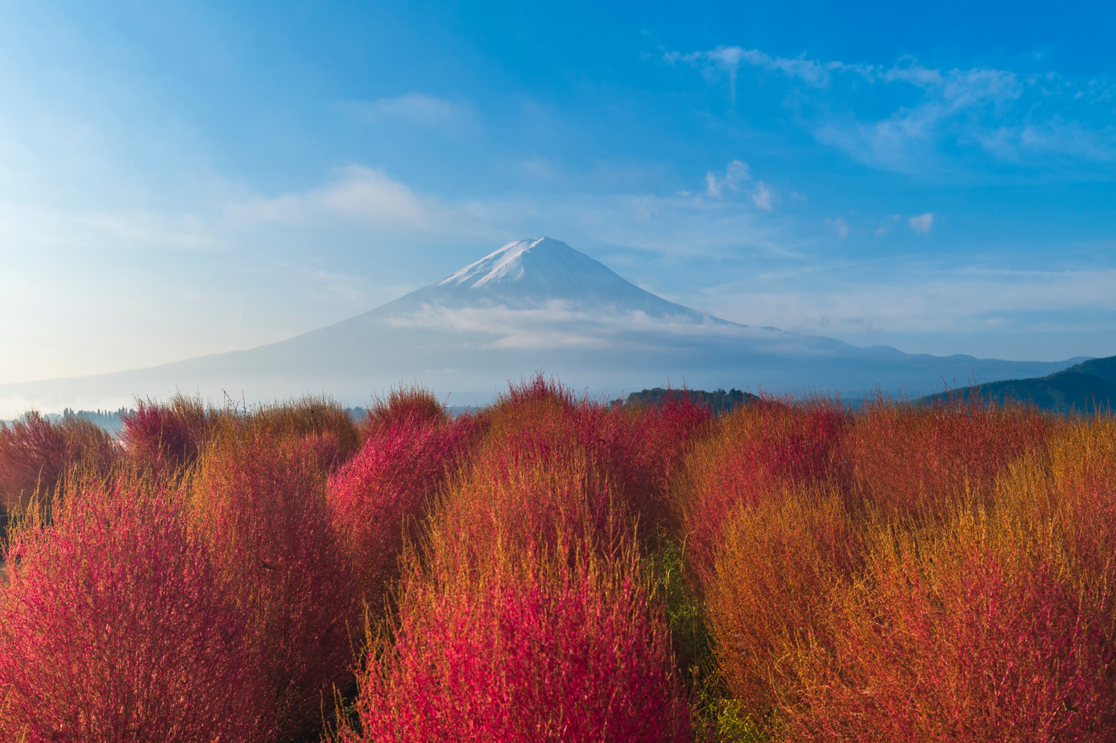 Landscape scene representing regional point-of-view content.